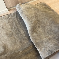 ニトリ NITORI ホットシート 75×170㎝ ブラウン ヒートパットの画像