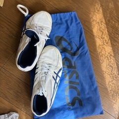 アシックス陸上用スパイク22.0の画像