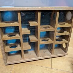 ハムスター飼育かごほかいろいろの画像