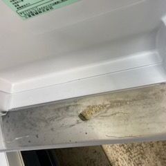 ID:699304　冷蔵庫１４６L　三菱　２０１９年製　※冷蔵室ドリンクボックス割れの画像