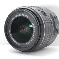 【超美品】新品級のショット数♪Nikon D5600 WiFi バリアングル液晶の画像