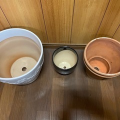 【急募！10月末まで】陶器植木鉢、鉢カバーの画像