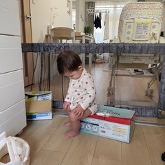 シンプルフェンスの画像