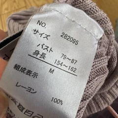 レディースM Tシャツの画像
