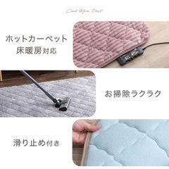 洗えるカーペットの画像