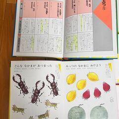 家庭保育園　なぜなにぶっく　計22冊　フルセットの画像