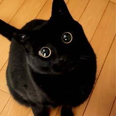 お友達募集してます(^^)