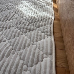 洗えるカーペットの画像