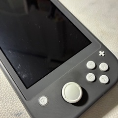 Switchライト本体 グレーの画像