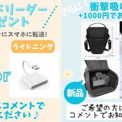 コスパ抜群のエントリーモデル♪Nikon D40 小型軽量 スマホ転送の画像