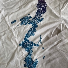 沖縄 TシャツLの画像