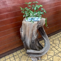 木のオブジェの画像