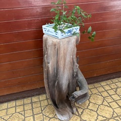 木のオブジェの画像