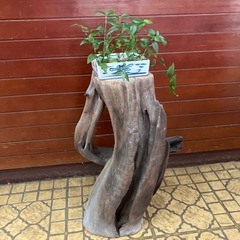 木のオブジェの画像