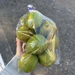 【スダチ約10個】本庄産　野菜　無農薬　販売　まとめ売り　セットの画像