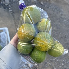 【スダチ約10個】本庄産　野菜　無農薬　販売　まとめ売り　セットの画像