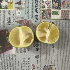 【スダチ約10個】本庄産　野菜　無農薬　販売　まとめ売り　セットの画像