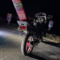 VTZ250 (CBR400f仕様　の画像