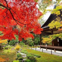 11月中旬～（土日）南禅寺へ紅葉を見に。