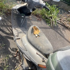 モーターバイク50ccの画像