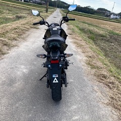 カワサキ　Z125 PRO 実働　外装綺麗の画像