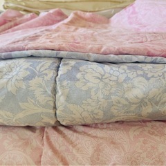 東京西川　シングル掛け布団2枚
  　の画像