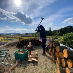 薪（梨の木）1コンテナ
25kg〜27kgの画像