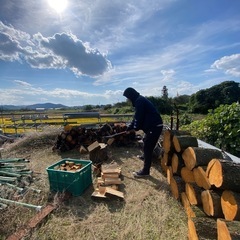 薪（梨の木）1コンテナ
25kg〜27kgの画像