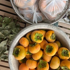 甘柿　お菓子と交換がいいなぁの画像