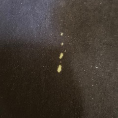 マットレスの画像