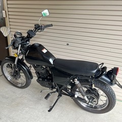 クインキー（QINGQI）トラッカー 200 セル始動 外車の画像