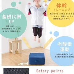 システムK トランポリンクッションの画像