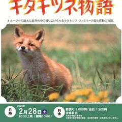 【2/28(土)開催！】あさひ名画座第39弾「キタキツネ物…
