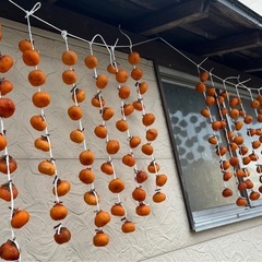 【 無農薬 】平核無柿  4キロ〜 ③の画像