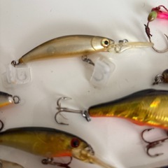 釣りルアー色々セットまとめての画像