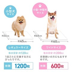 ペットシーツ レギュラーサイズ（45cm×35cm） 200枚 未開封 の画像