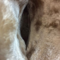 美品❗️スエード ムートン風ショートブーツ ブラウン レディース LLの画像