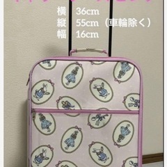 SWIMMER　スイマー　キャリーケース　スーツケース　旅行カバン　 旅行バッグの画像