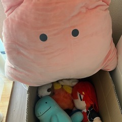 ぬいぐるみ たくさんの画像