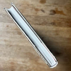 『世界一の美女の創りかた part２』　イネス・リグロンの画像