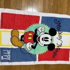 値下げしました キャラクタータオルケットの画像