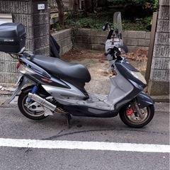 シグナスx　の画像