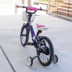 子供用自転車 16インチ Trek Precaliber 16の画像