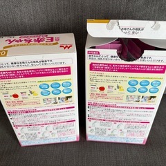 Ｅ赤ちゃんの画像