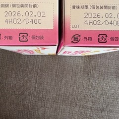 Ｅ赤ちゃんの画像