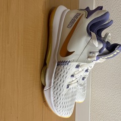 LeBron Witness 5の画像