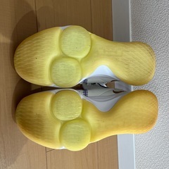 LeBron Witness 5の画像