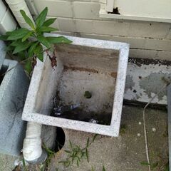 モルタルのプランターの画像