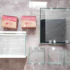 11月2日（日）　中古アクアリウム用品、生体100～3000円で販売しますの画像