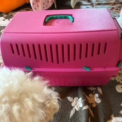ペット用キャリーの画像
